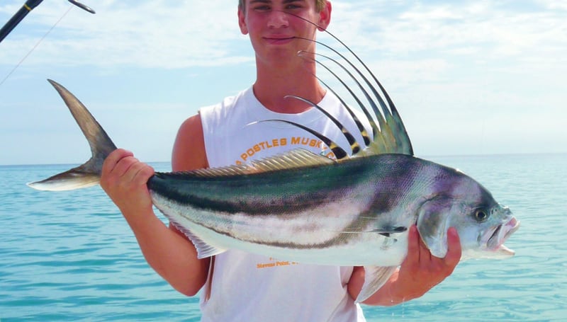 A roosterfish with a tall spiky dorsal fin and dark diagonal stripes being held at the water surface